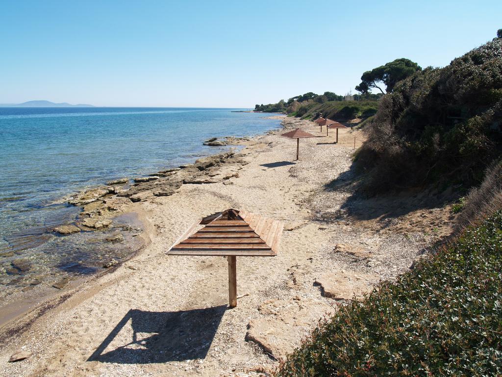 Verde Apartment Nea Makri