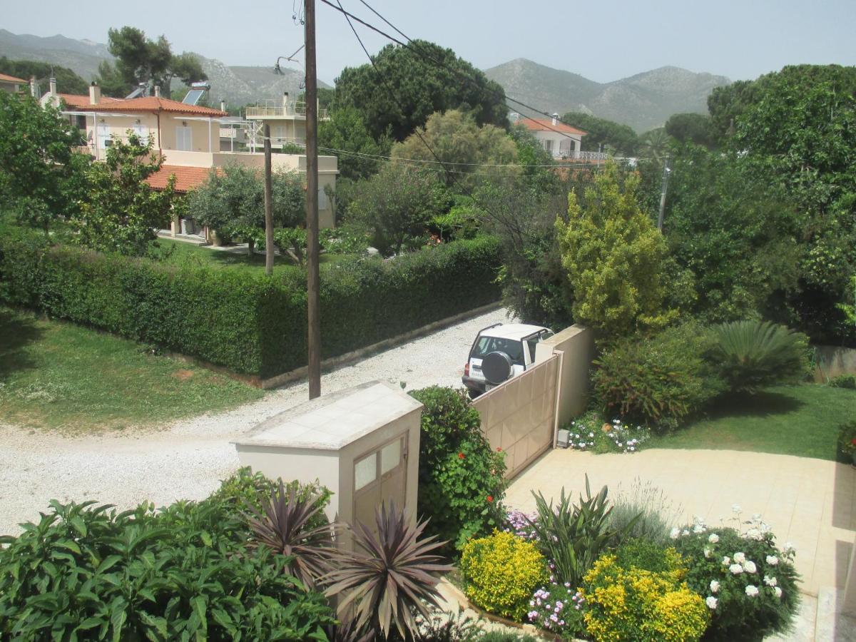 Verde Apartment